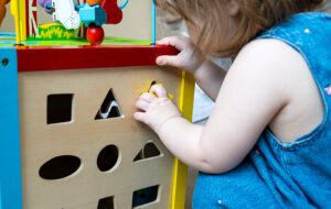 Young Child Developing Language Skills by Using Object Sorter