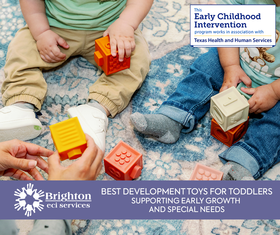 Best Development Toys for Toddlers with Special Needs Brighton