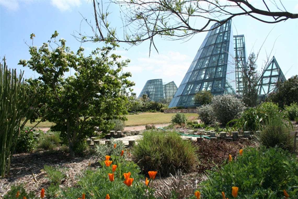 Botanical Gardens in San Antonio for Blog Post about Planning Fun Summer Activities In and Around San Antonio